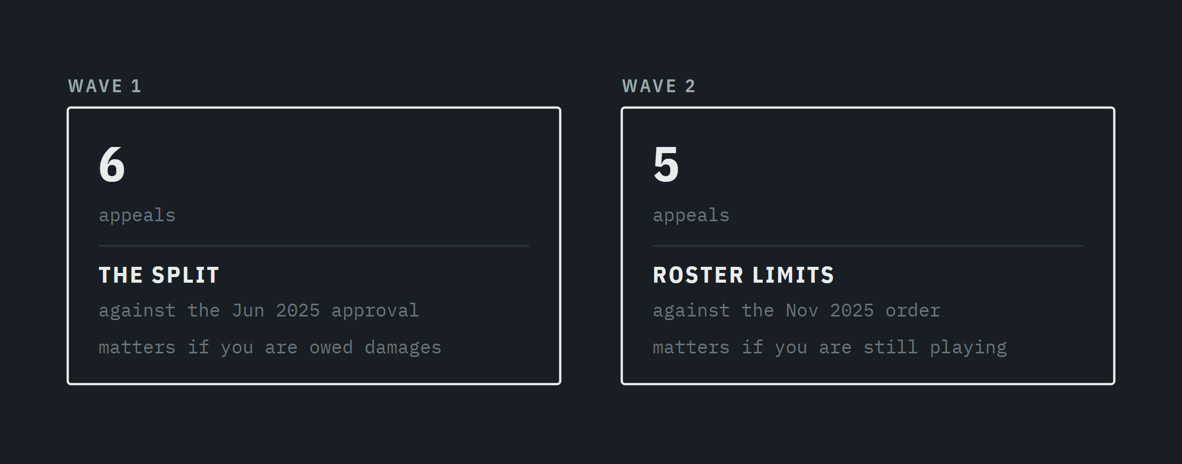 Diagram showing Wave 1 with six damages appeals and Wave 2 with five roster-limit appeals.