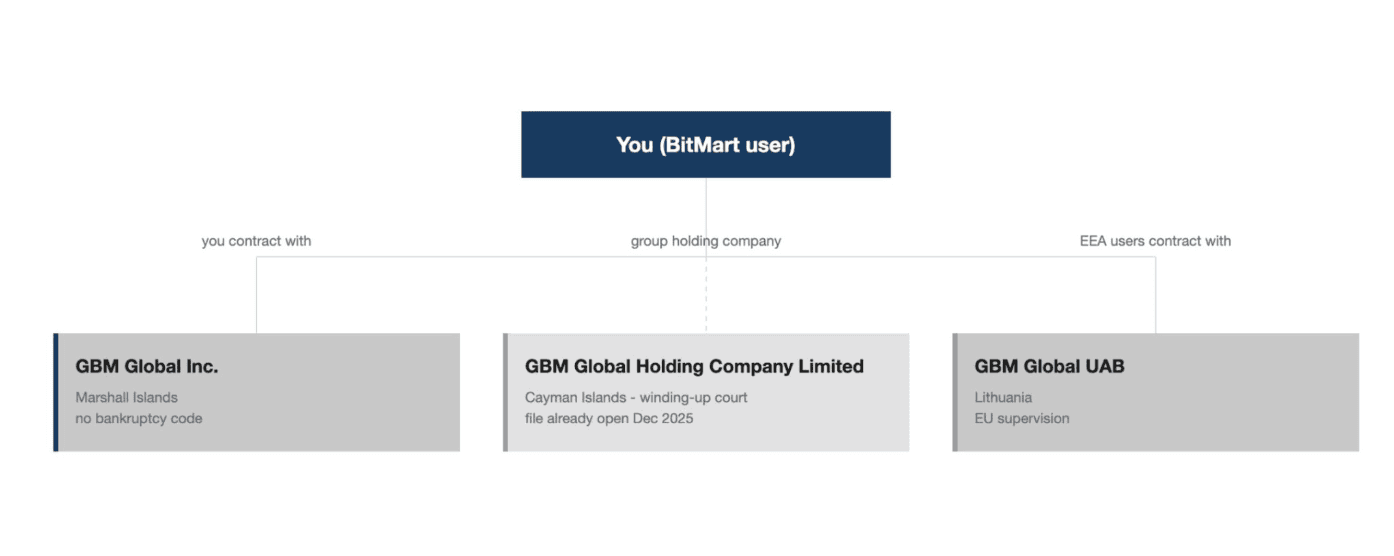 Overview of BitMart entities